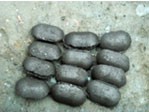 Oval Coal Briquettes